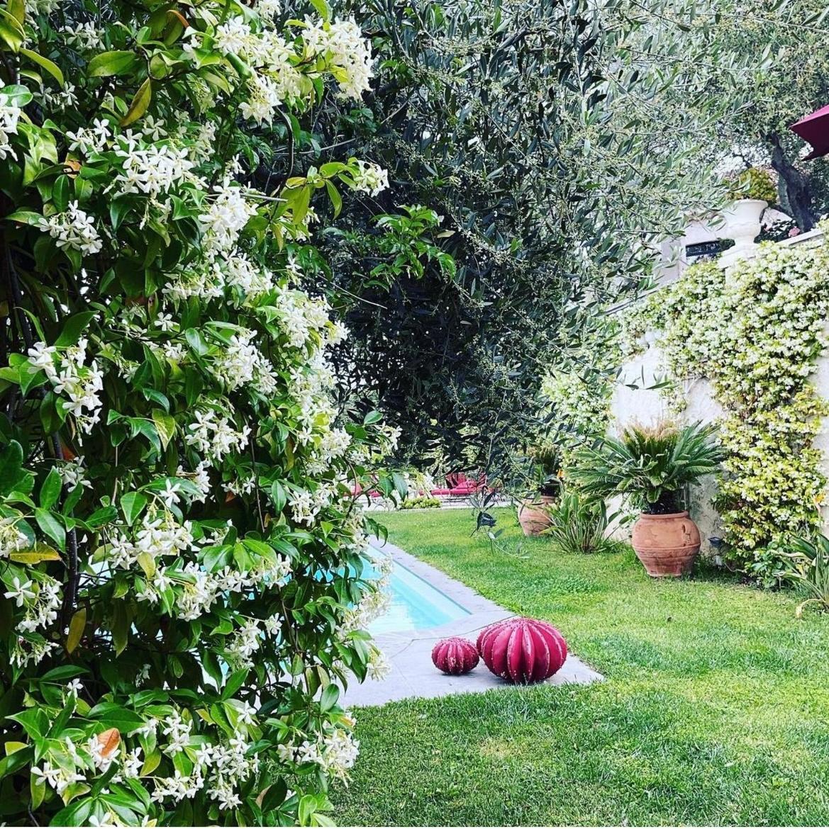 Mas De Provence En Riviera Hotel La Roquette-sur-Var Ngoại thất bức ảnh