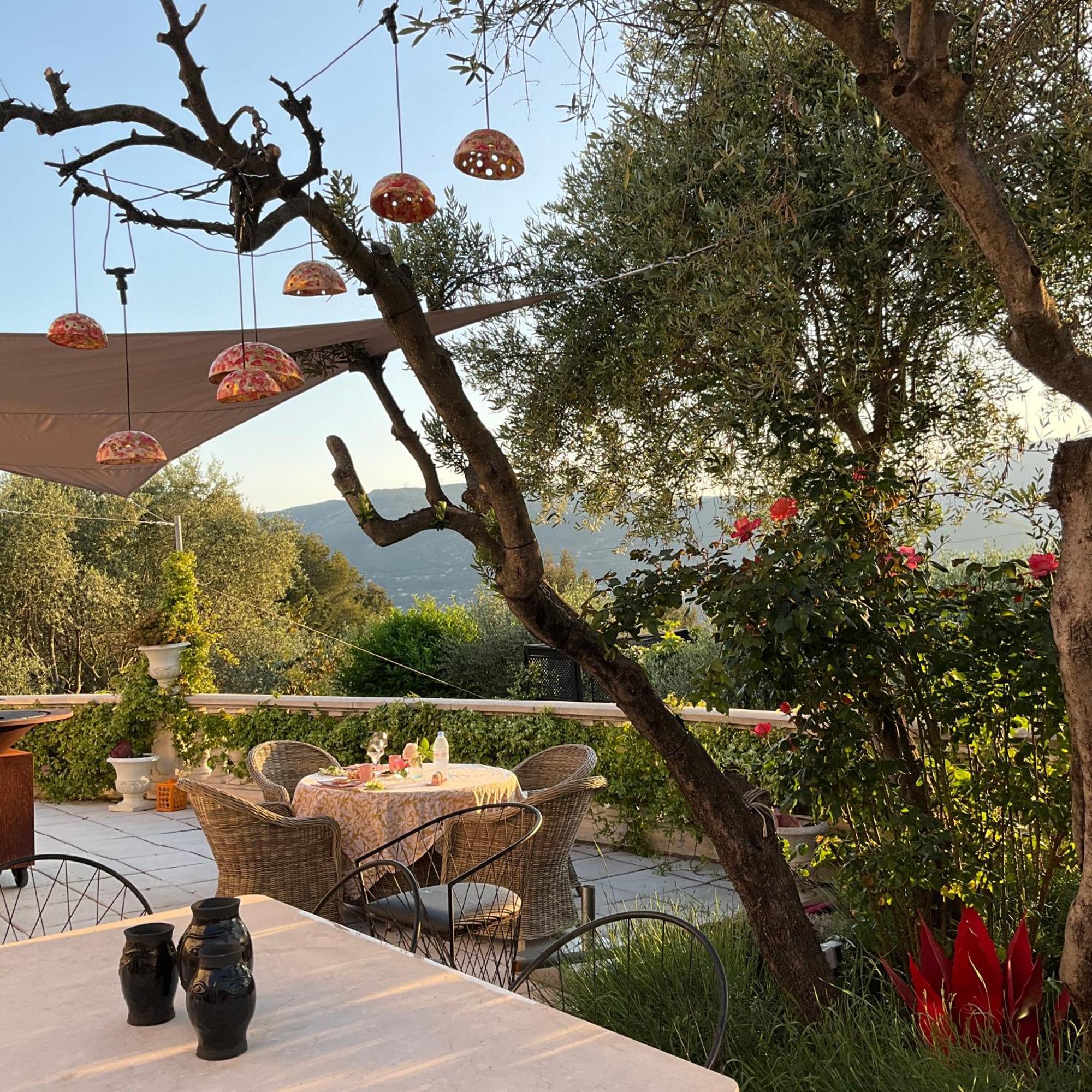 Mas De Provence En Riviera Hotel La Roquette-sur-Var Ngoại thất bức ảnh